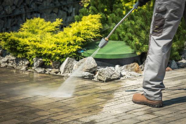 Pre-Holiday Cleaning in Royersford, PA