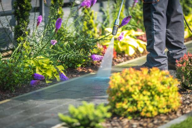  Royersford, PA Pressure Washing Pros